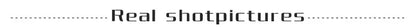 Male Tees Shirts Skinny Embroidery Lion New In Party Y2k Original Tops Hot Basic Korean Popular Clothes Cool Cheap Men's T-shirt